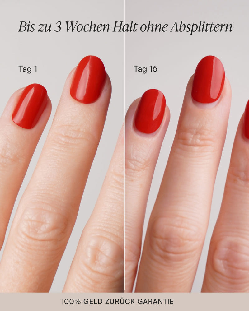 Farben Spar - Bundle - Gel Strips - Doonails