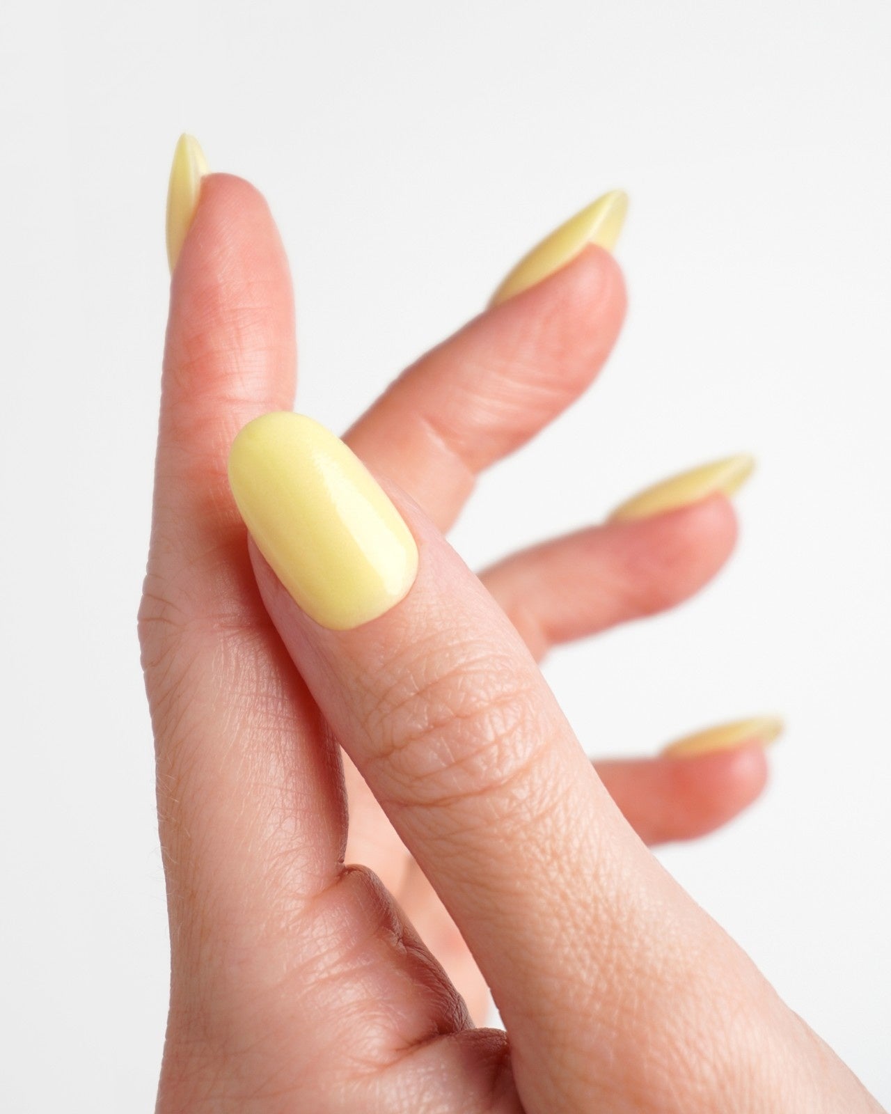 Lemon Sorbet Dipping Powder