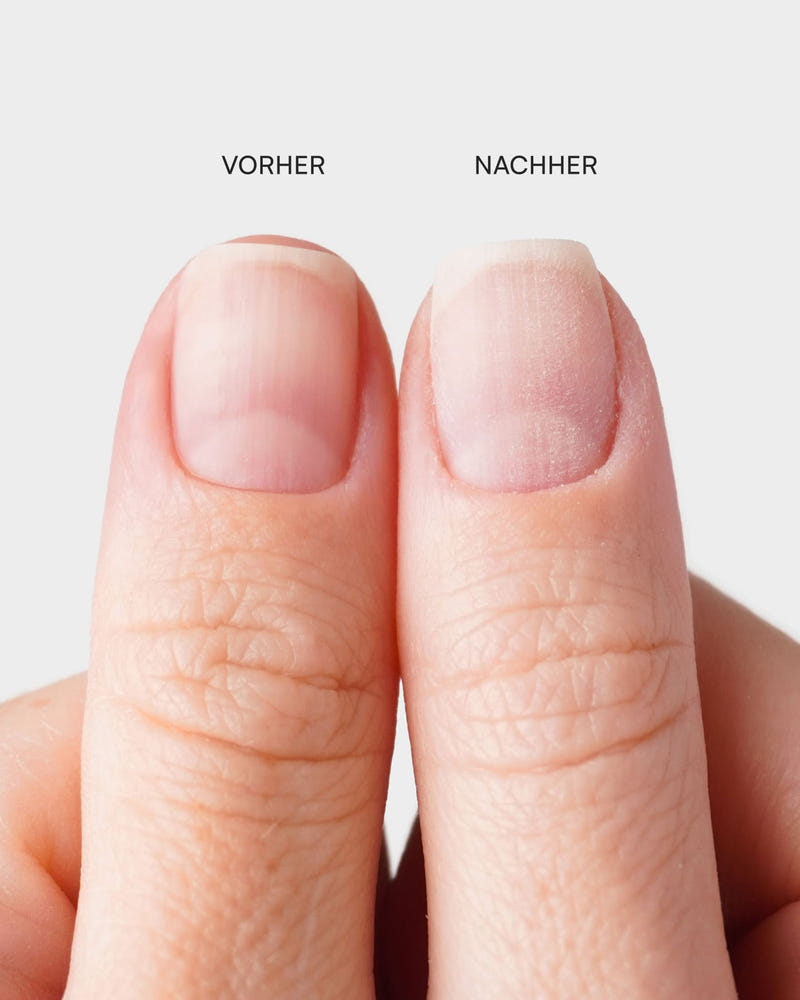 Premium Buffer Feilen Set
