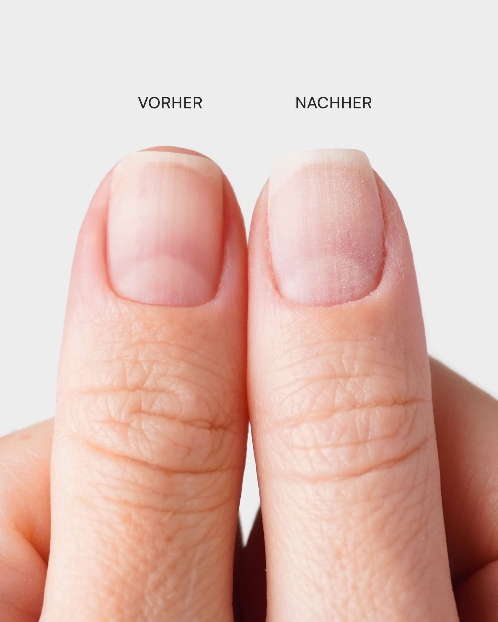 Premium Buffer Feilen Set