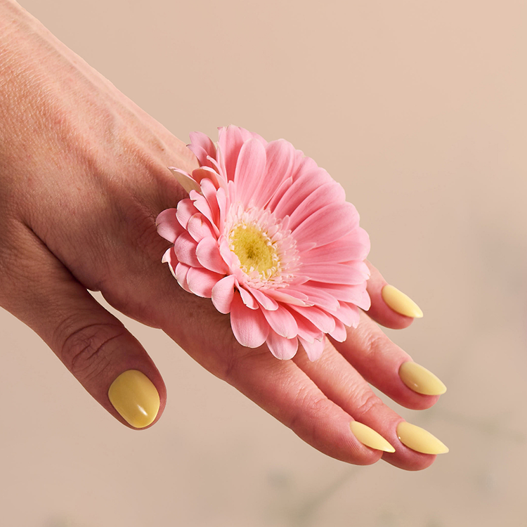 Doonails