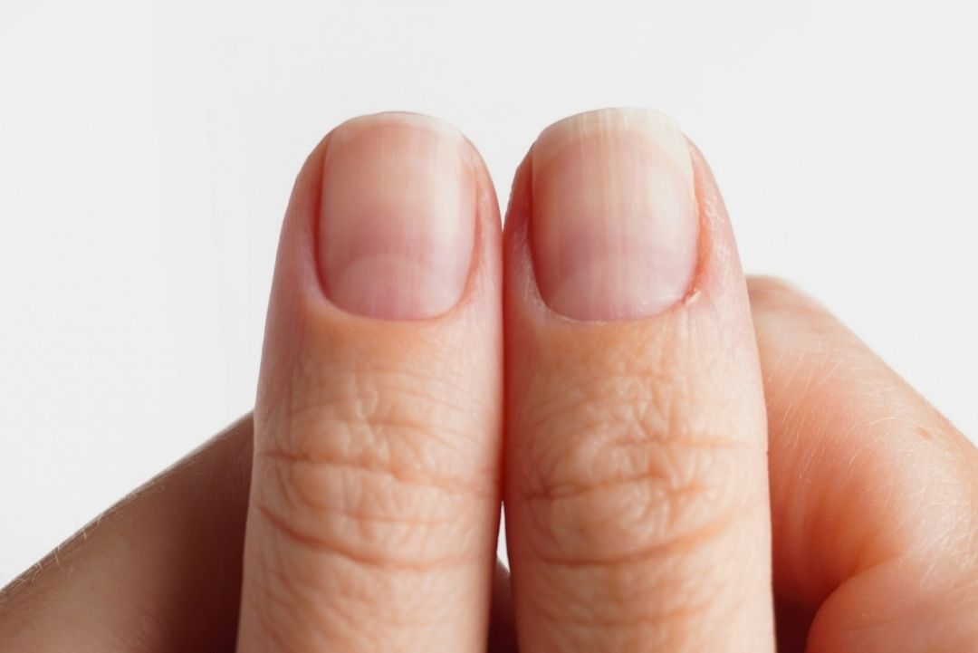 Nagelhautzange