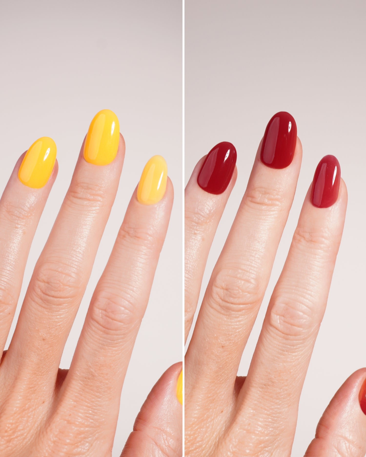 Iced Mango Limited Edition