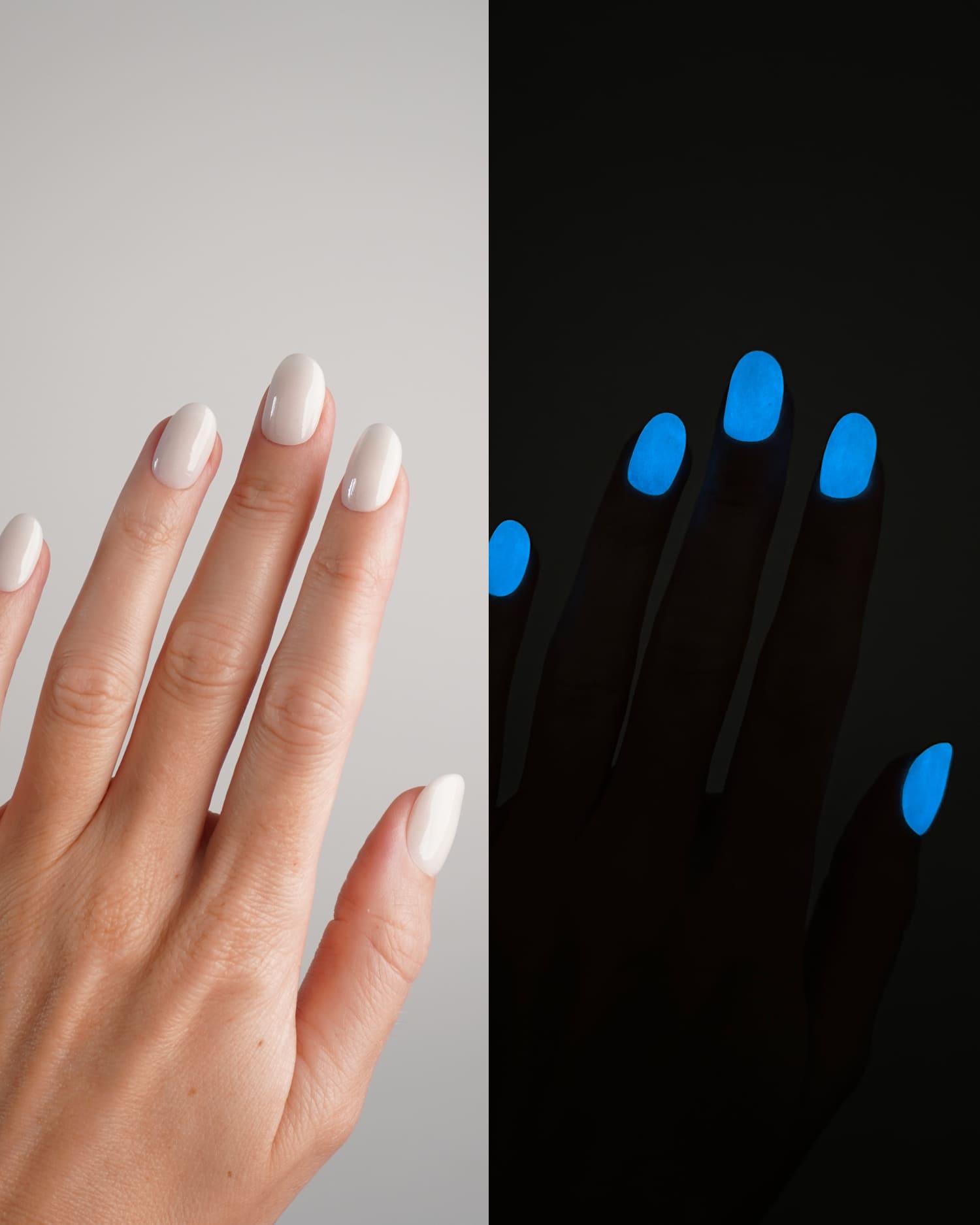 Moonlight Limited Edition