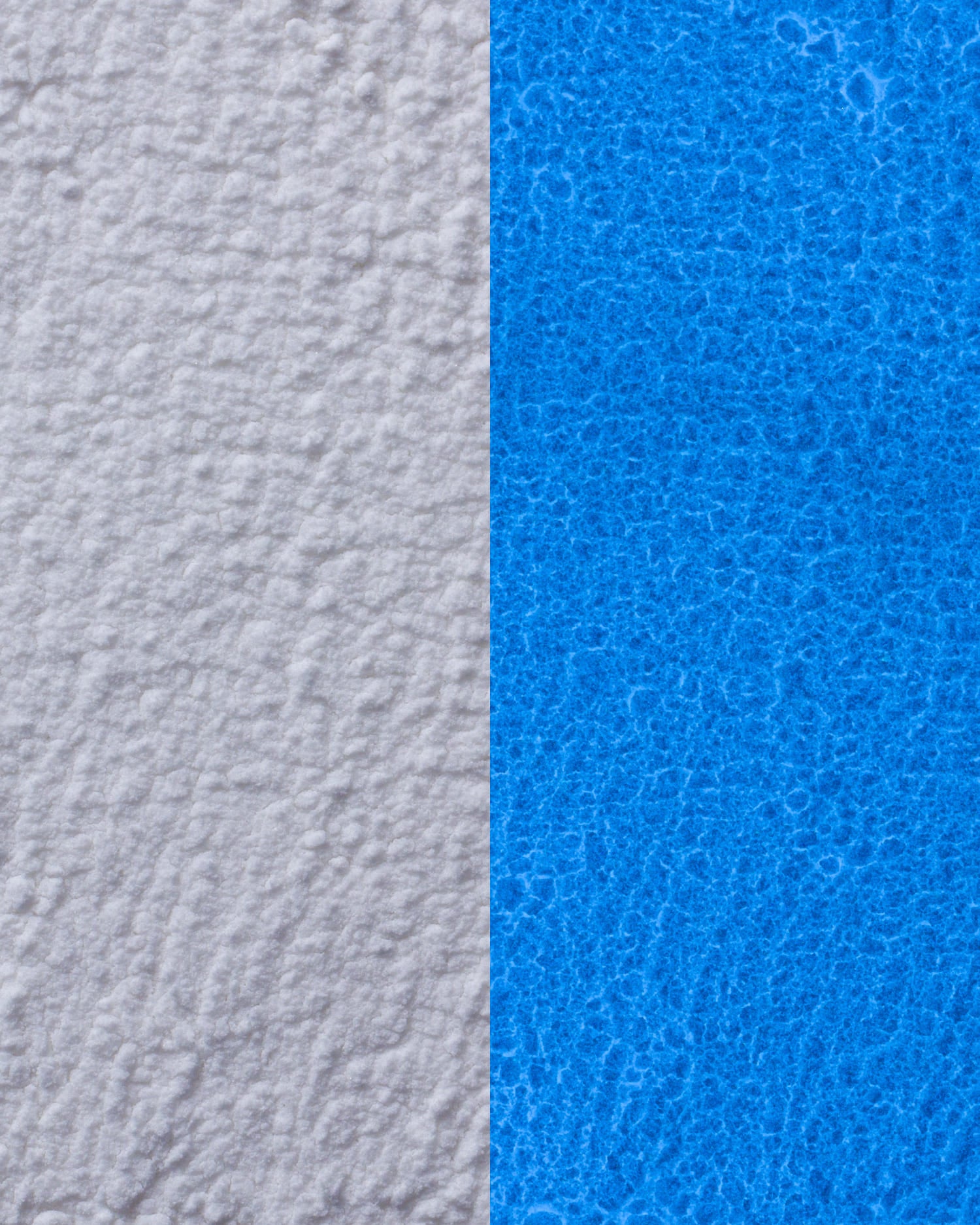 Moonlight Limited Edition